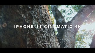 iPhone 11 Cinematic 4K Nature Video | Short Film