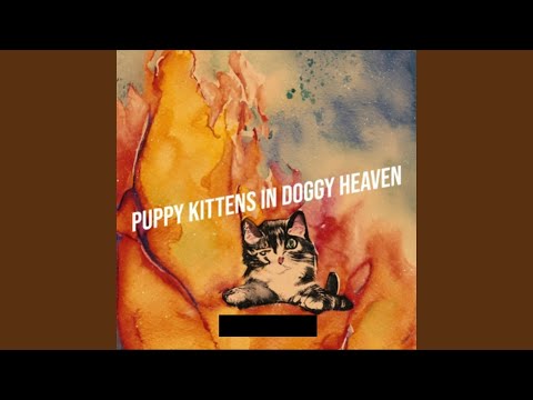 Puppy Kittens In Doggy Heaven