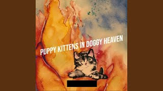 Vídeo de Puppy Kittens In Doggy Heaven