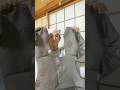 着物リメイクでカシュクールワンピースを作ってみたらハンドメイドの温かみも感じられる昭和レトロな洋服になった【大島紬をリフォーム】