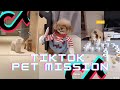 Tik Toks Cutest Pet Mission Compilation 2021 | Camera Crazy