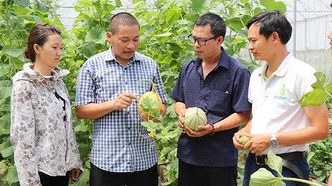 Bắc Ninh phát triển Nông nghiệp Công nghệ cao