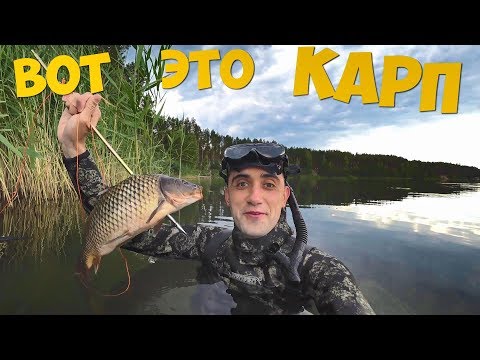 ВОТ ЭТО КАРП ШАШЛЫК ИЗ КАРПА ПОДВОДНАЯ ОХОТА