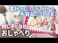 【おしゃべり動画】昔好きだったテイストの手芸品どうしていますか？/刺し子しながら