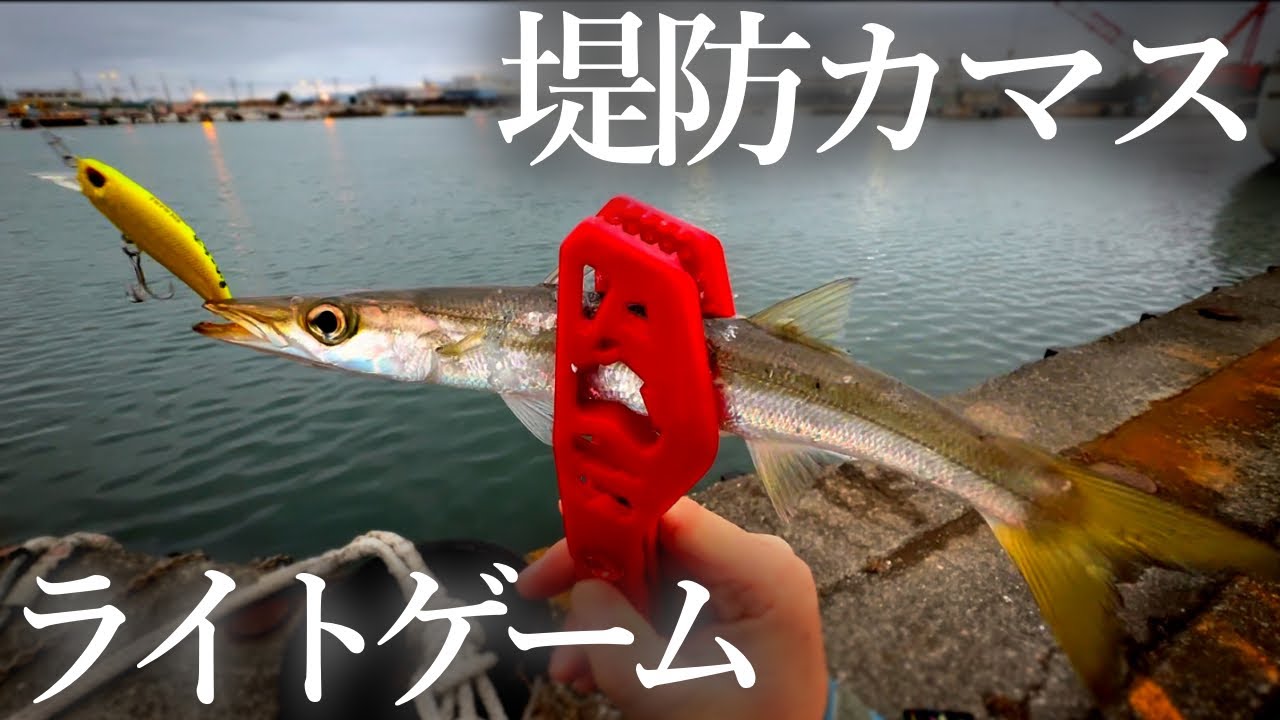 【堤防釣り】港でカマス狙いのライトゲーム！釣って楽しい・食べて美味しい魚【ミノー・ワーム】