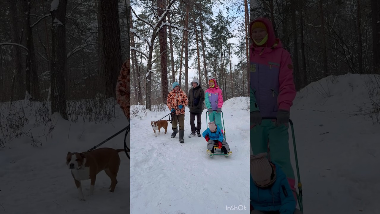 Сочельник 2026, прогулка в дендрарий