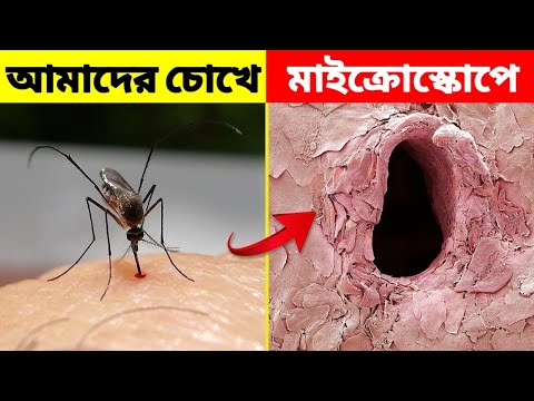 ভিডিও: ব্লু বুক ইউএফও প্রোগ্রাম সম্পর্কে শীর্ষ 9টি তথ্য