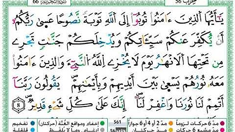 سورة التحريم مكتوبة / حمزة الجزائري