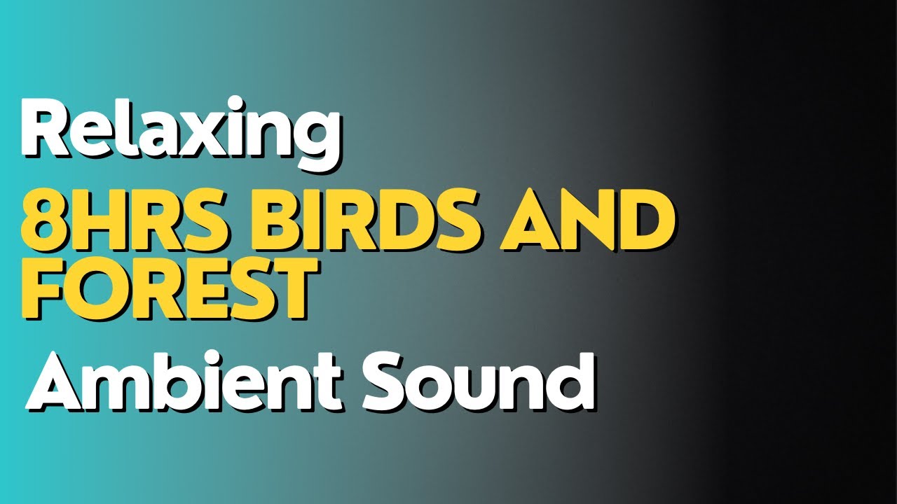 8 Hours Soothing and Relaxing Forest Birds Ambient Sound For Relaxation ...