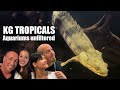 Aquariums unfiltered  episode 16  kg tropicals  the king of diy