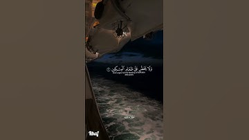 سورة الماعون ❤#اسلام_صبحي