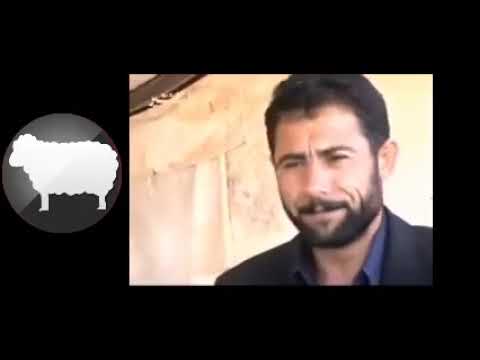 مصطفى ابو الفوز حفلة قديمة