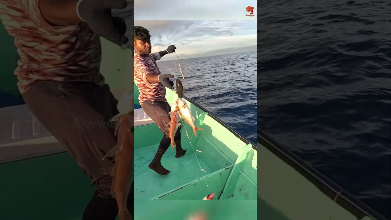 Fishing In The Deep Sea Fishingvideo Fishingtime