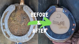 Very Satisfying Hoof Restoration / HOT Shoe with a Leather Pad