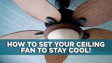Ceiling Fan Direction: Turn It This Way to Stay Cool | Tips