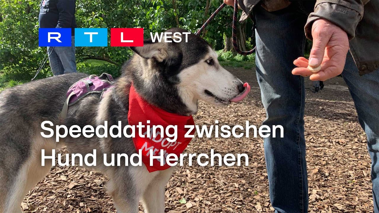 "Bark Date": Speeddating zwischen Hund und Herrchen | RTL WEST, 29.04.2024