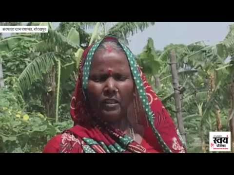 employment news tamilnadu कमाल की किसान... किसान चाची