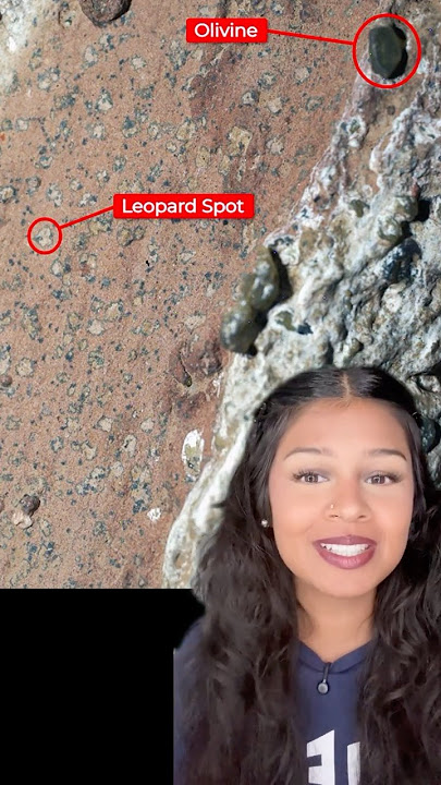 NASA Reveals Signs of Ancient Life On Planet Mars #Shorts
