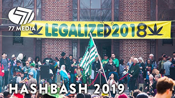 77 Media Group: Hashbash 2019
