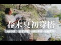 3月🌸樱花开 一起云赏花 | 春末夏初穿搭 |终于破20K的订阅啦 ❕快来收礼物啊 | 新中式穿搭 | 出游旅行穿搭 | 舒适 自在 惬意穿搭 | 日常百搭都市穿搭