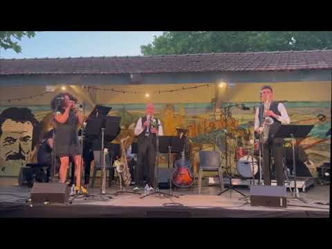 Les Suricats Septet