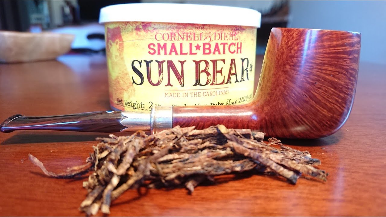 Sun Bear