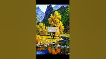 تلاوه خاشعه بصوت القارئ محمد اللحيدان ❤️😌 سورة المؤمنون