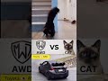 Toyota GR Yaris AWD vs Cat: The Ultimate Agility Test! #shorts
