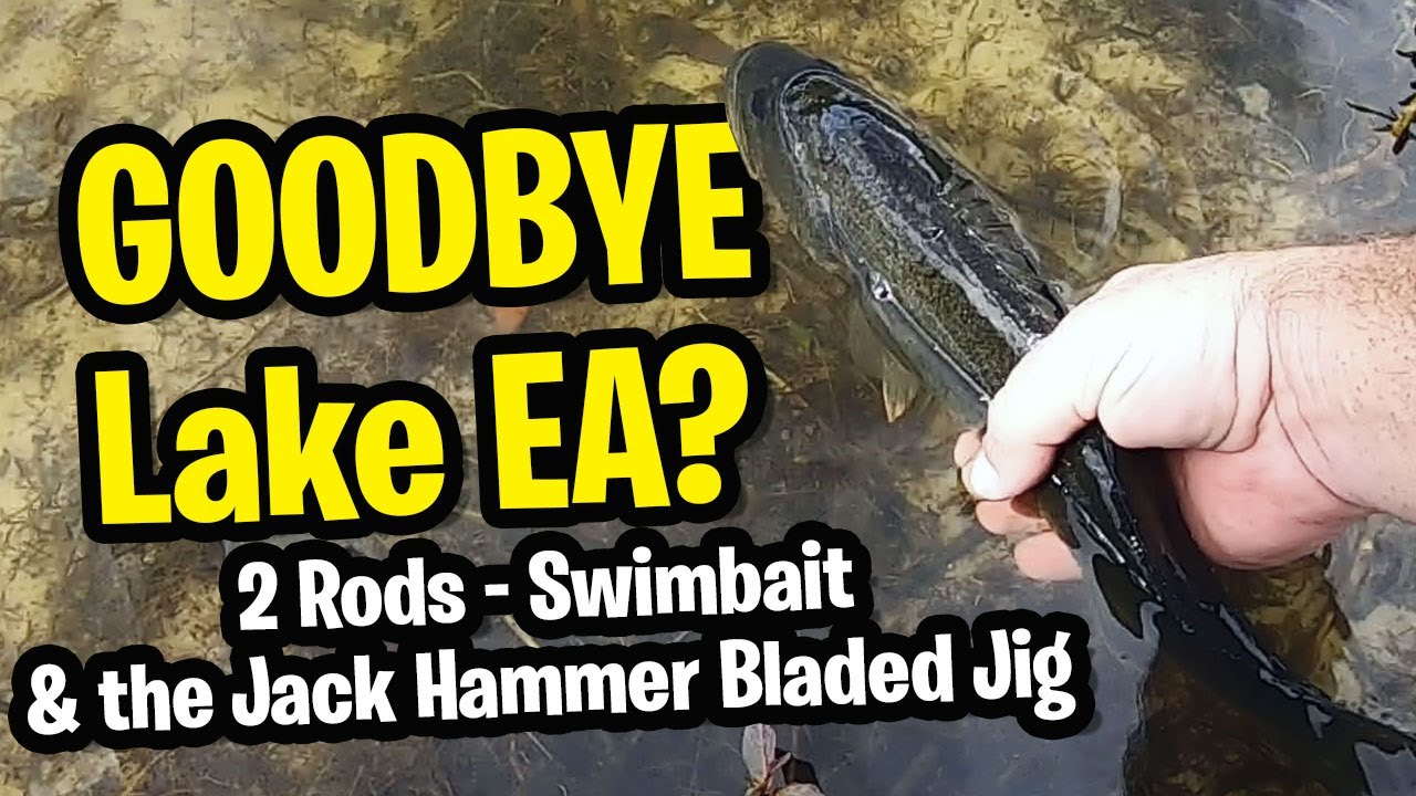 Goodbye Lake EA? Crushing Largemouth Bass on Swim Bait in Central Florida -  Largemouth Bass Fishing 