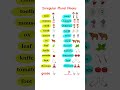 Most Common English Plural Nouns - #learnenglish  #dailyenglish