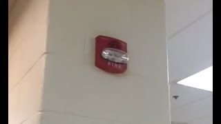 Fire Alarm Short: False Alarm at my Old High School