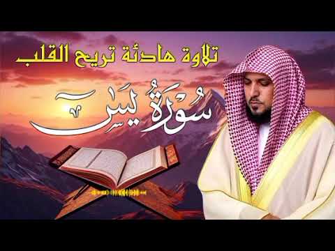 سورة يس | ماهر المعيقلي | استمع بقلبك | Surah Yasin