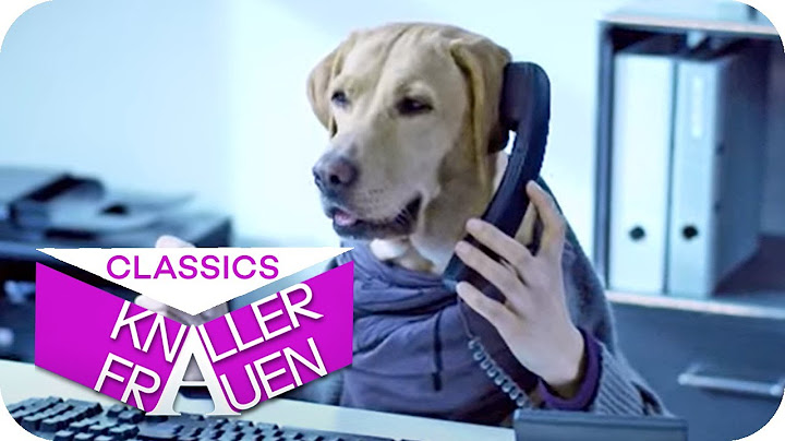 Mit dem Hund im Büro | Knallerfrauen mit Martina Hill