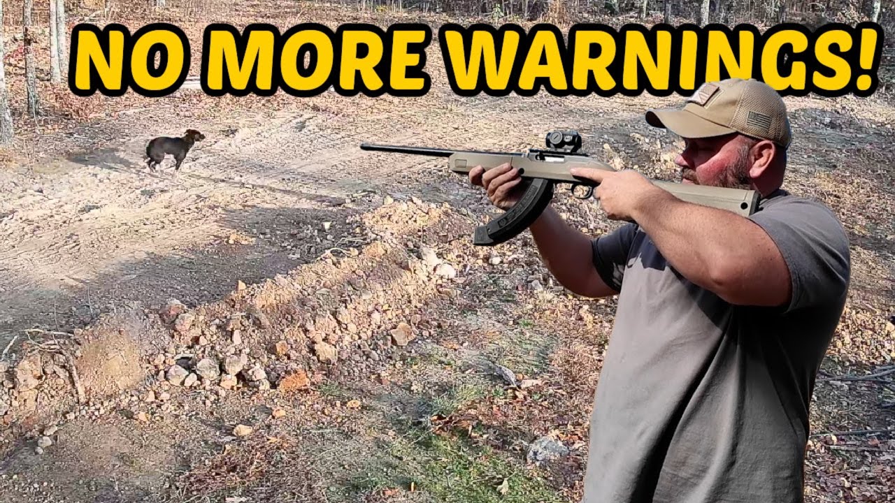 Собаки СОСЕДЯ выбрали не тот день, чтобы убить моих кур!