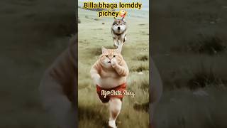 🤪Bob Billa Lomddy😱 #shorts #story #funny #cartoon #entertament #cat #ytstudioes #anaya #cartton