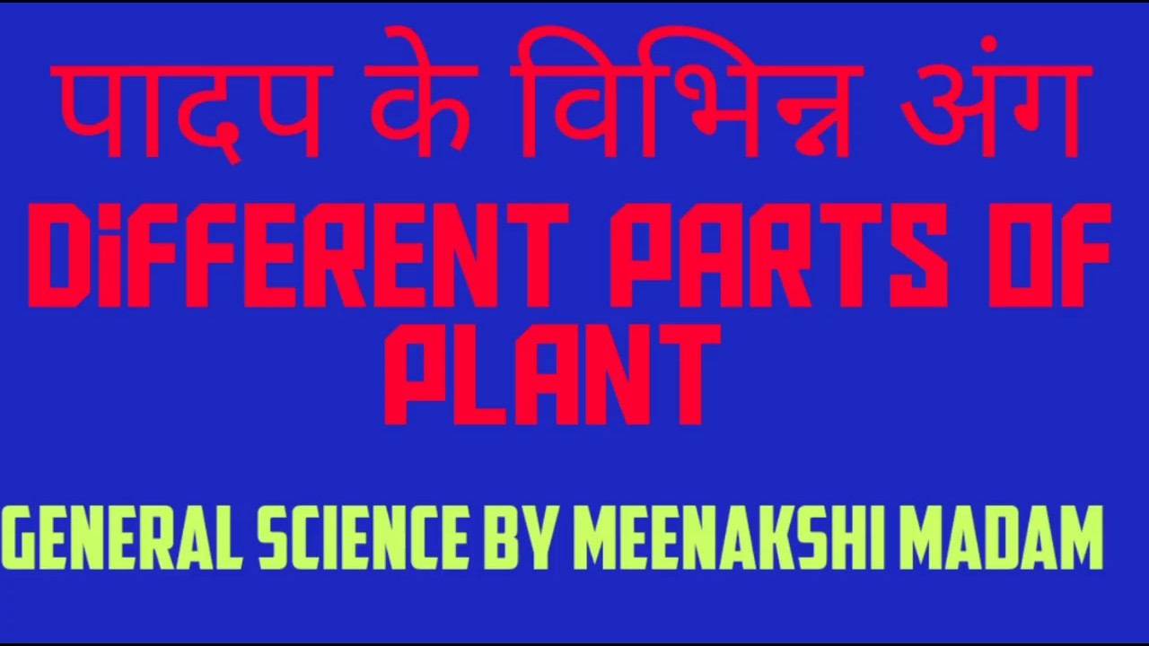 General science Different parts of प्लांट पादप के वभिन्न अंग - YouTube