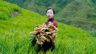 Make a lot of Chinese food with ginger