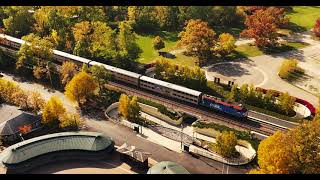 Ravinia in the Fall Yule Log