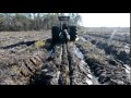 Columbia Timber Co. Planting Superior Tree Seedlings