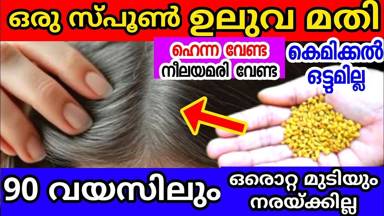 മുടി കറുപ്പിയ്ക്കാൻ ഇത്രയും എളുപ്പത്തിലുള്ള ഐഡിയ കണ്ട് നോക്കൂ | Natural hair dye |Effective hair dye