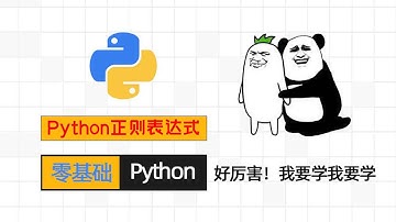 Python零基础入门 - 正则表达式