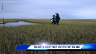 Arctic Tundra Arctic Tundra