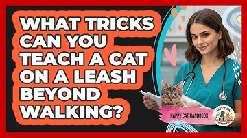 What Tricks Can You Teach A Cat On A Leash Beyond Walking? - Happy Cat Handbook