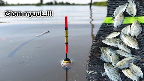 Clom nyutt !! fishing for tilapia until I'm overwhelmed