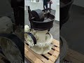 Probando chocolate suizo en la fábrica Alprose 🍫
