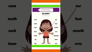 Parts of the body and their related worksheets for kindergarten #youtubeshorts #May #2026