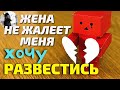 Жена меня не жалеет, хочу развестись. Максим Каскун