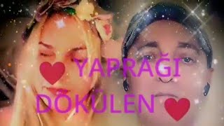 🌆 Yapraği Dökülen 🌆