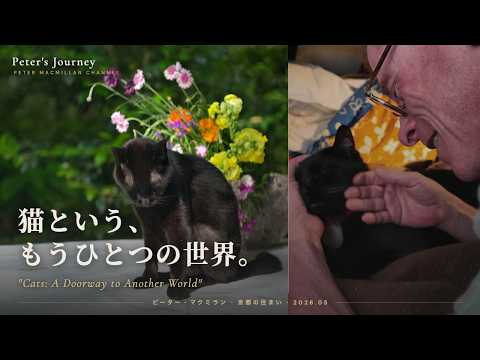 猫という、もうひとつの世界