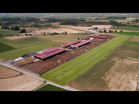 Vídeo: Espàrrecs: Forçament Hivernal